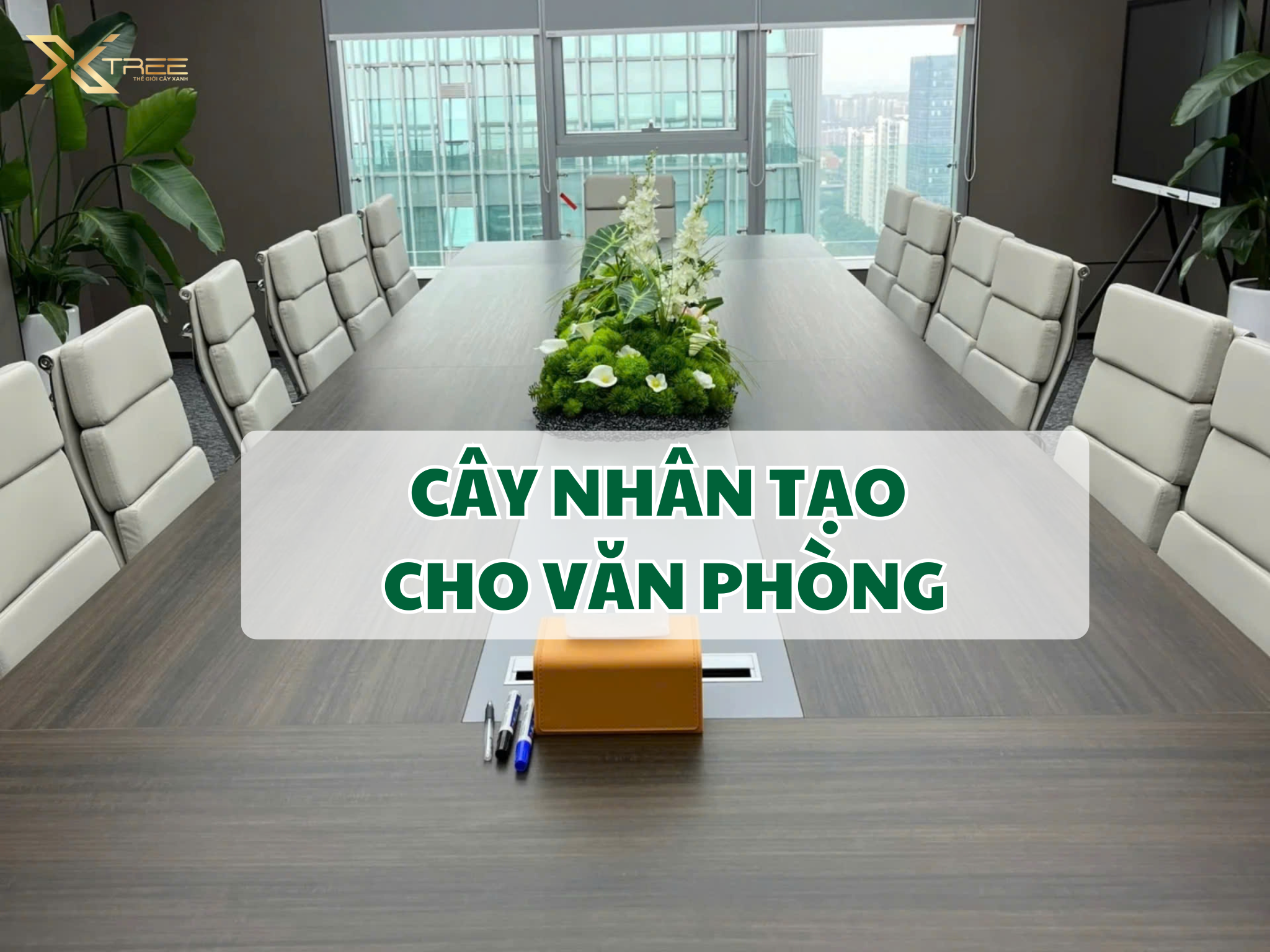 CAY NHAN TAO CHO VAN PHONG