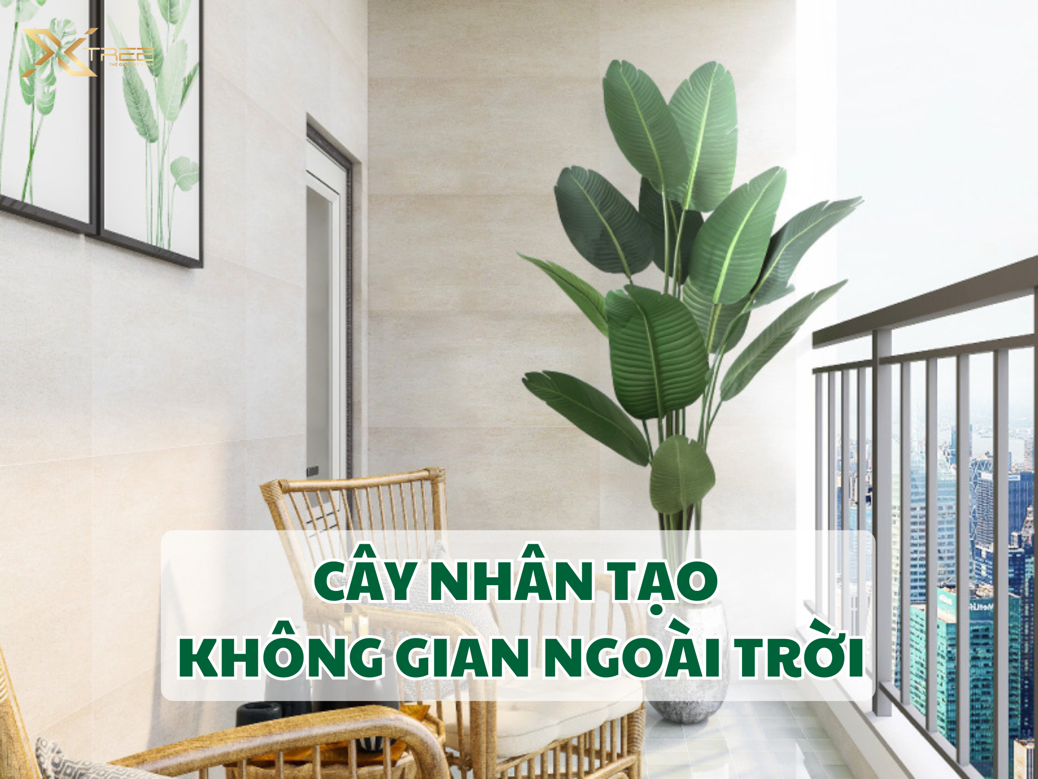 CAY NHAN TAO KHONG GIAN NGOAI TROI