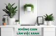 KHONG GIAN LAM VIEC XANH CUNG CAY NHAN TAO