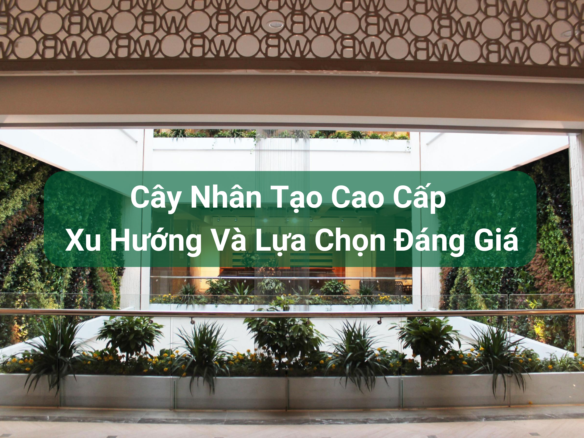 cay nhan tao cao cap